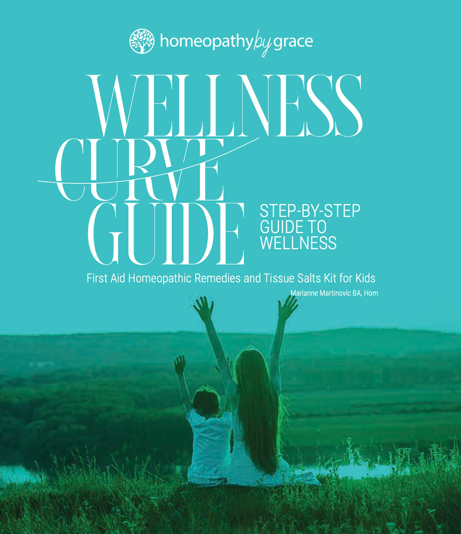 Wellness Curve Guide