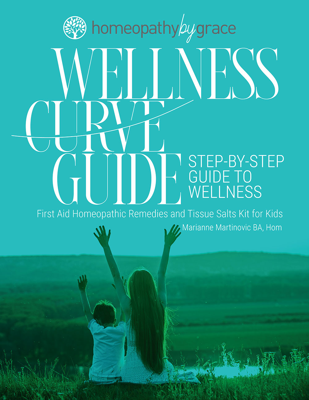 Wellness Curve Guide